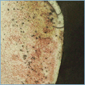 ceramica raku
